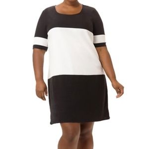 JunaRose Black and White Dress